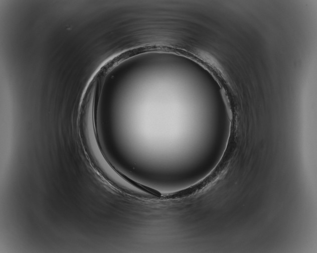 X0000086880924200704161217