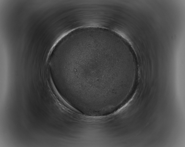 X0000086880925200704161217