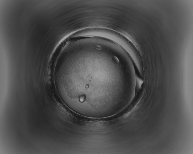 X0000086880926200704161217