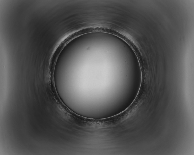 X0000086880927200704161217