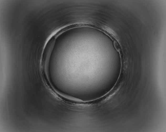 X0000086880928200704161217