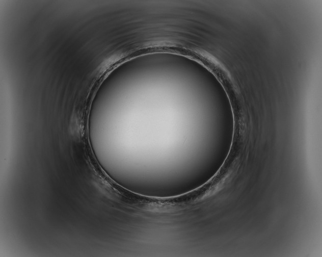 X0000086880929200704161217