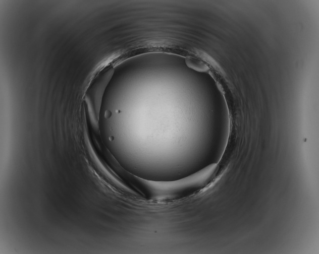 X0000086880930200704161217