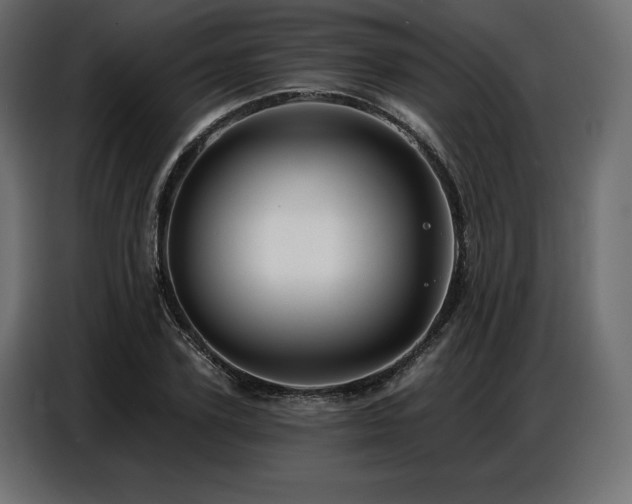 X0000086880931200704161217