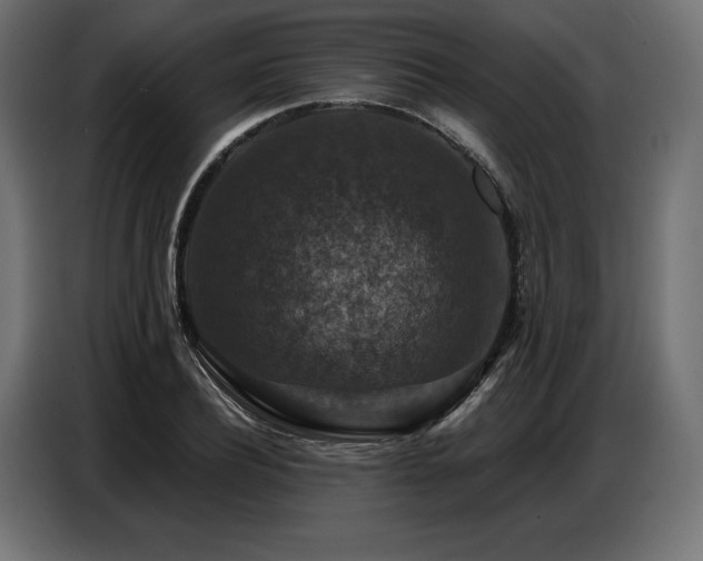 X0000086880932200704161217