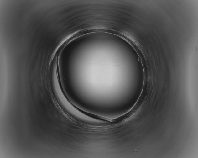 X0000086880933200704161218