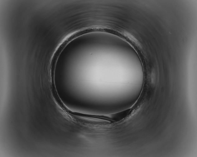 X0000086880934200704161218