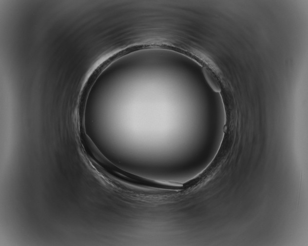 X0000086880936200704161218