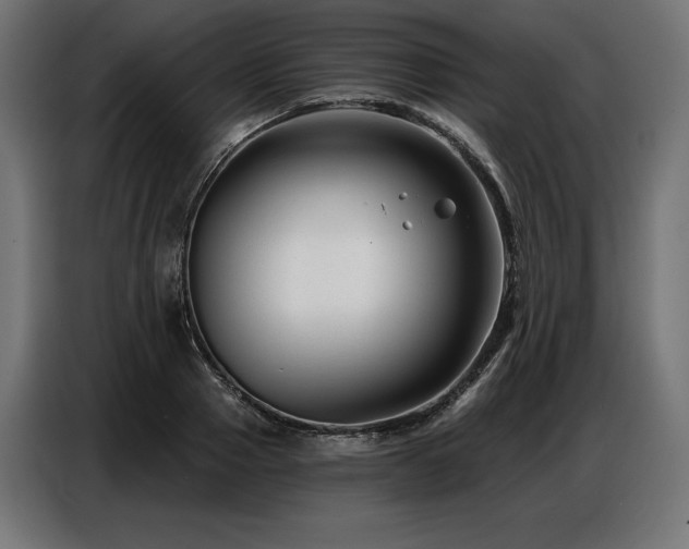 X0000086880937200704161218