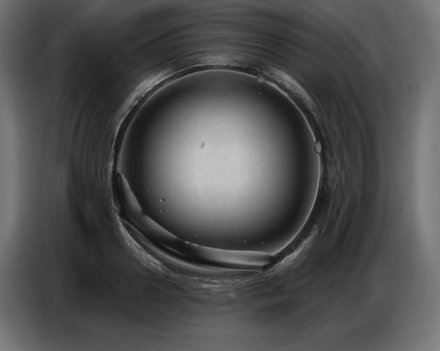 X0000086880938200704161218