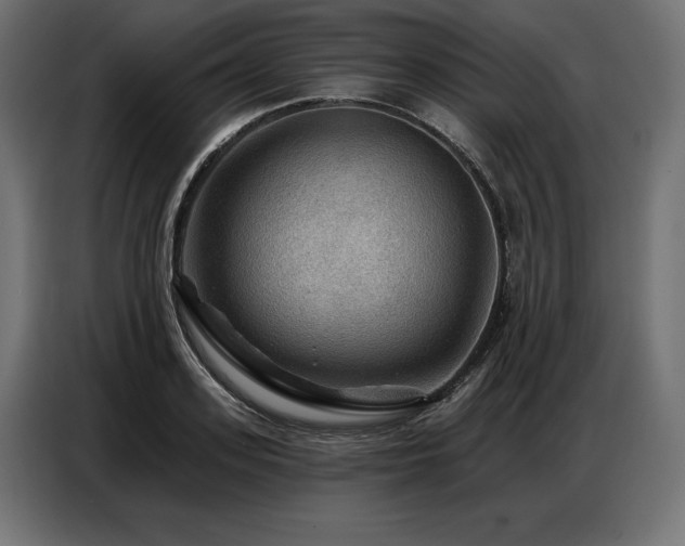 X0000086880939200704161218