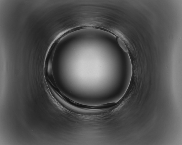 X0000086880940200704161218