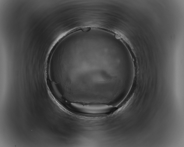 X0000086880941200704161218