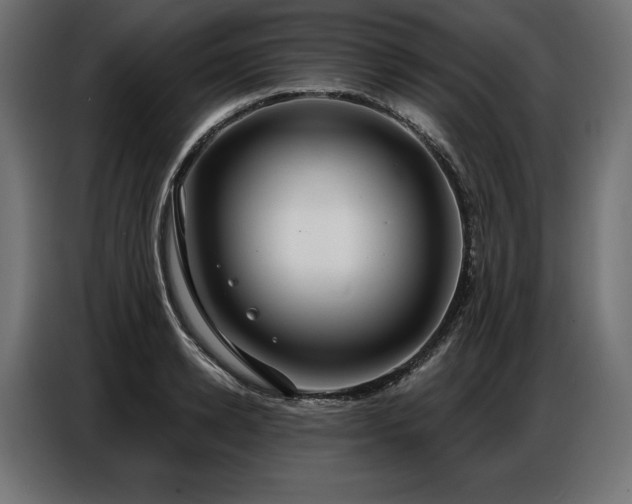 X0000086880942200704161218