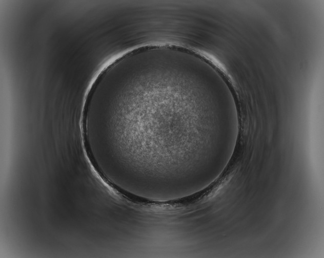 X0000086880943200704161218