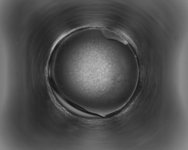 X0000086880944200704161218