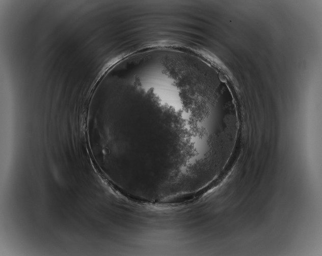 X0000086880945200704161218