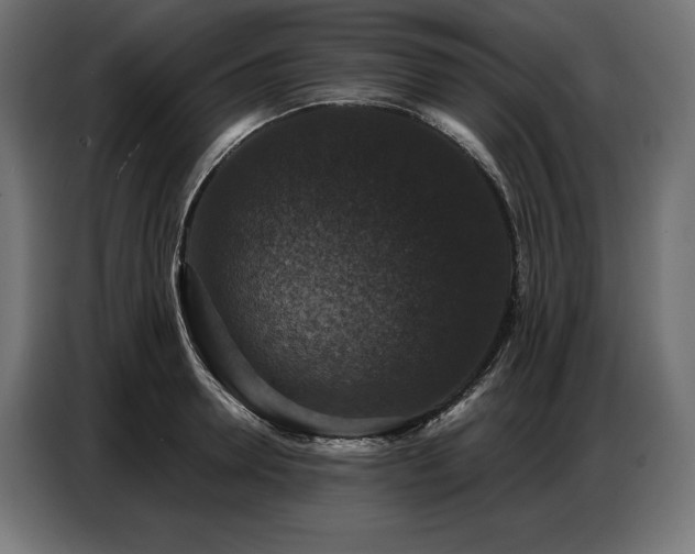 X0000086880946200704161218