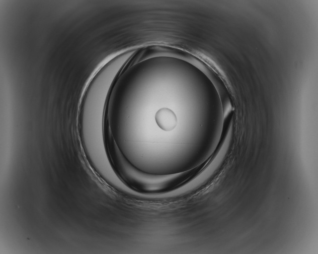 X0000086880948200704161218