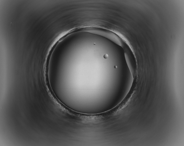 X0000086880949200704161218