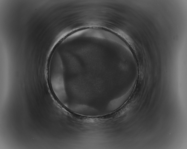 X0000086880950200704161218