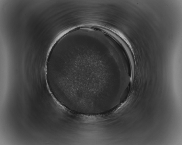 X0000086880951200704161218