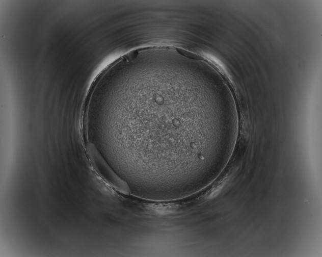 X0000086880952200704161218