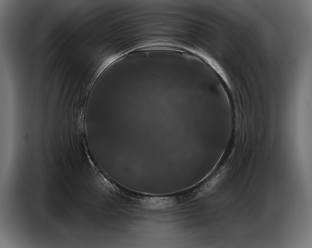 X0000086880953200704161218