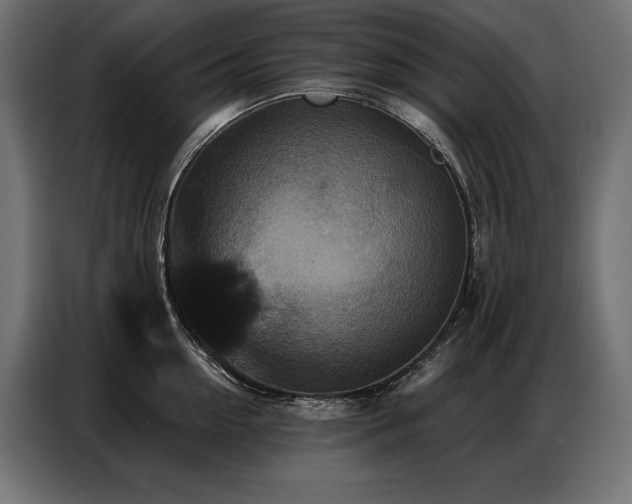 X0000086880954200704161218