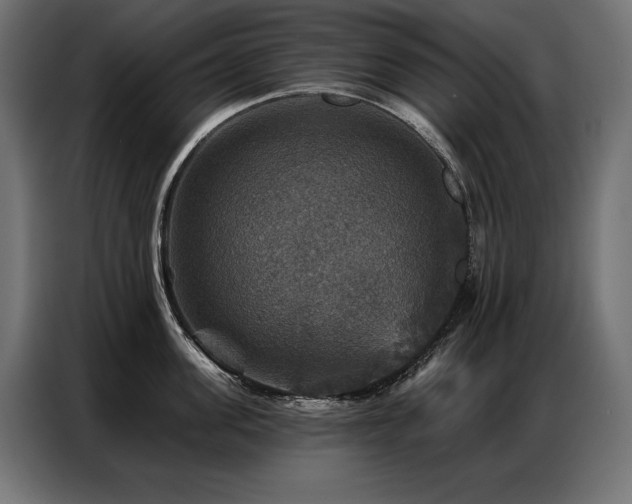 X0000086880955200704161218