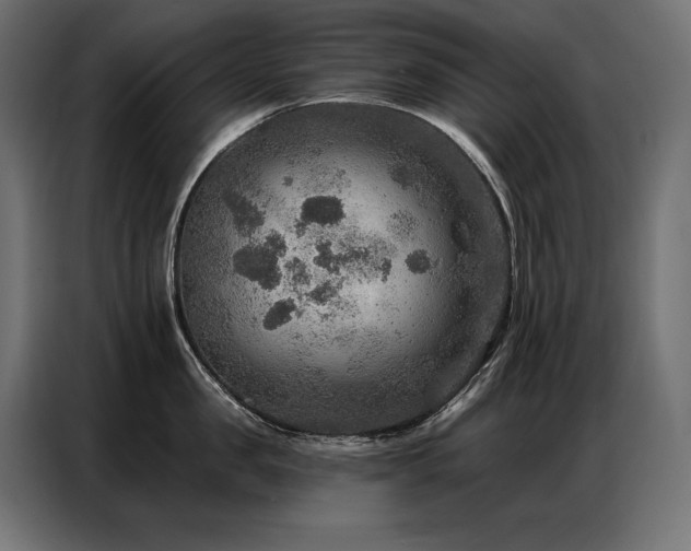 X0000086880957200704161218