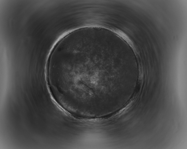 X0000086880958200704161218