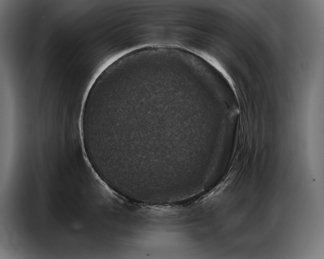 X0000086880959200704161218