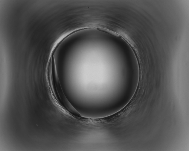 X0000086880960200704161218