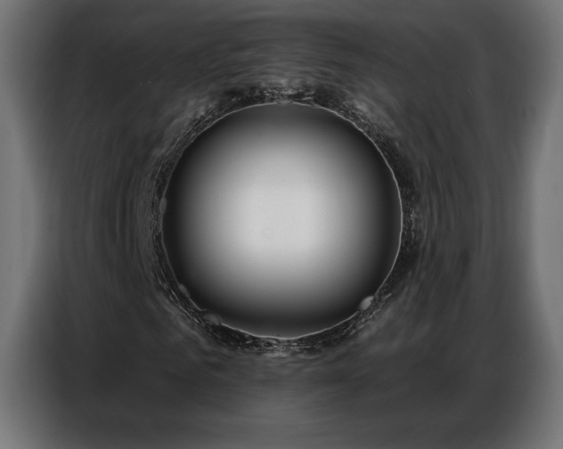 X0000086880961200704161217