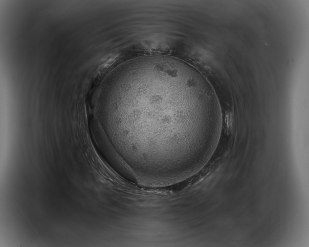 X0000086880963200704161217