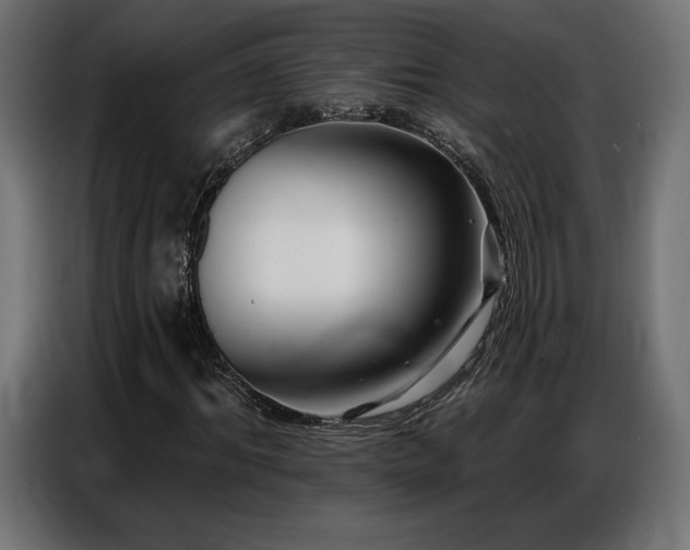 X0000086880964200704161217