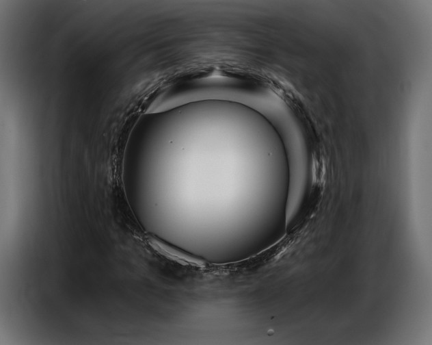 X0000086880965200704161217