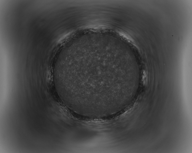 X0000086880966200704161217