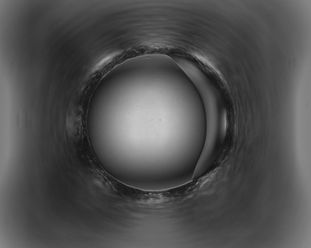 X0000086880968200704161217