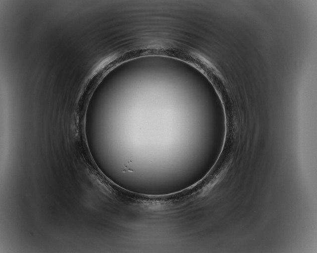 X0000086880970200704161217