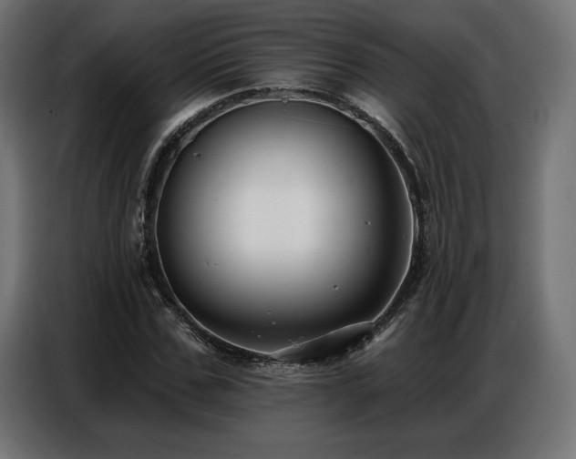 X0000086880971200704161217