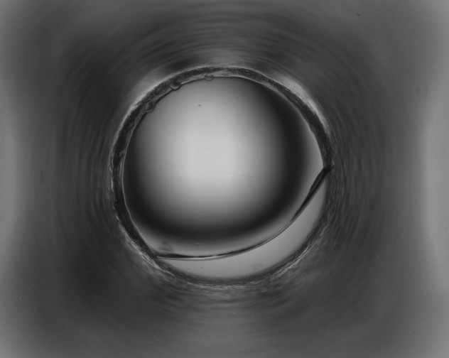 X0000086880972200704161217