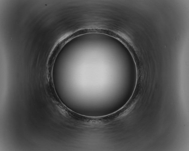 X0000086880974200704161217