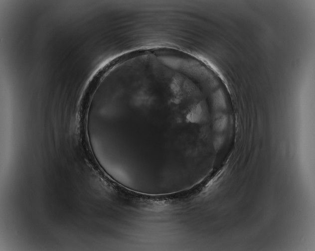 X0000086880975200704161217