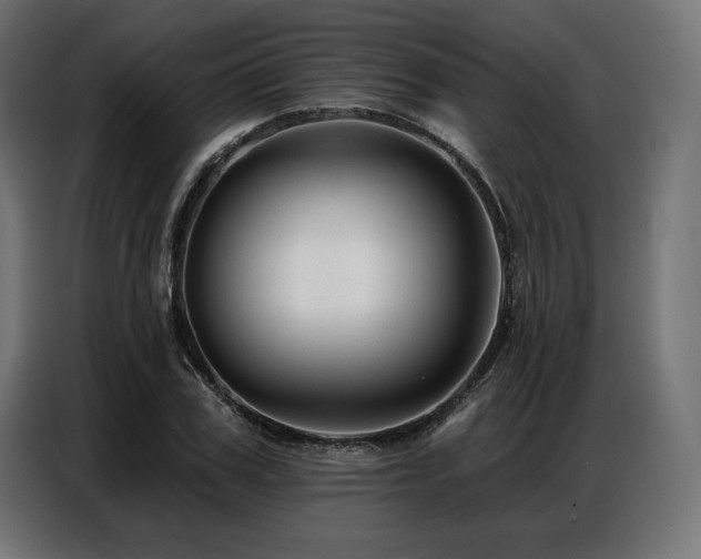 X0000086880979200704161217