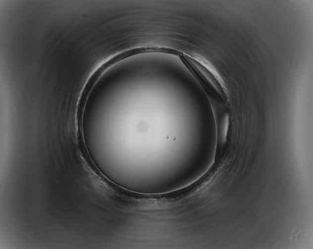 X0000086880980200704161217