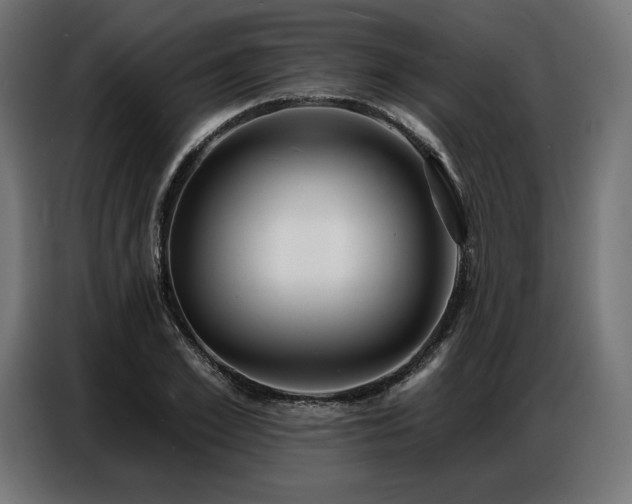 X0000086880981200704161217