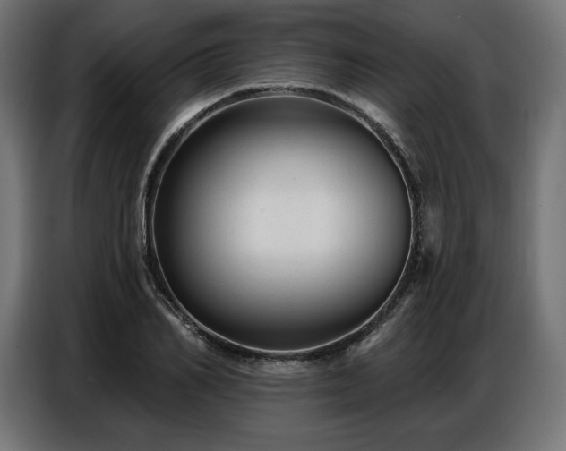 X0000086880982200704161217