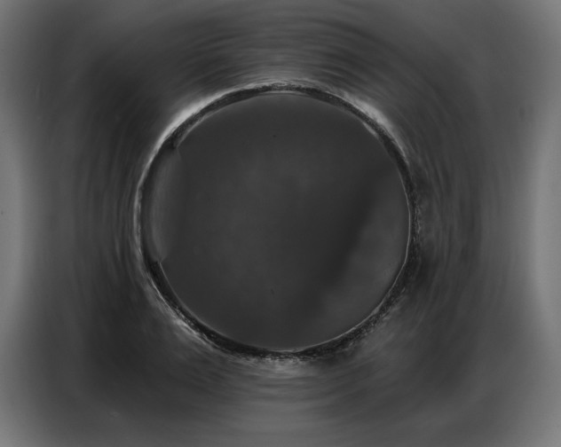 X0000086880983200704161217